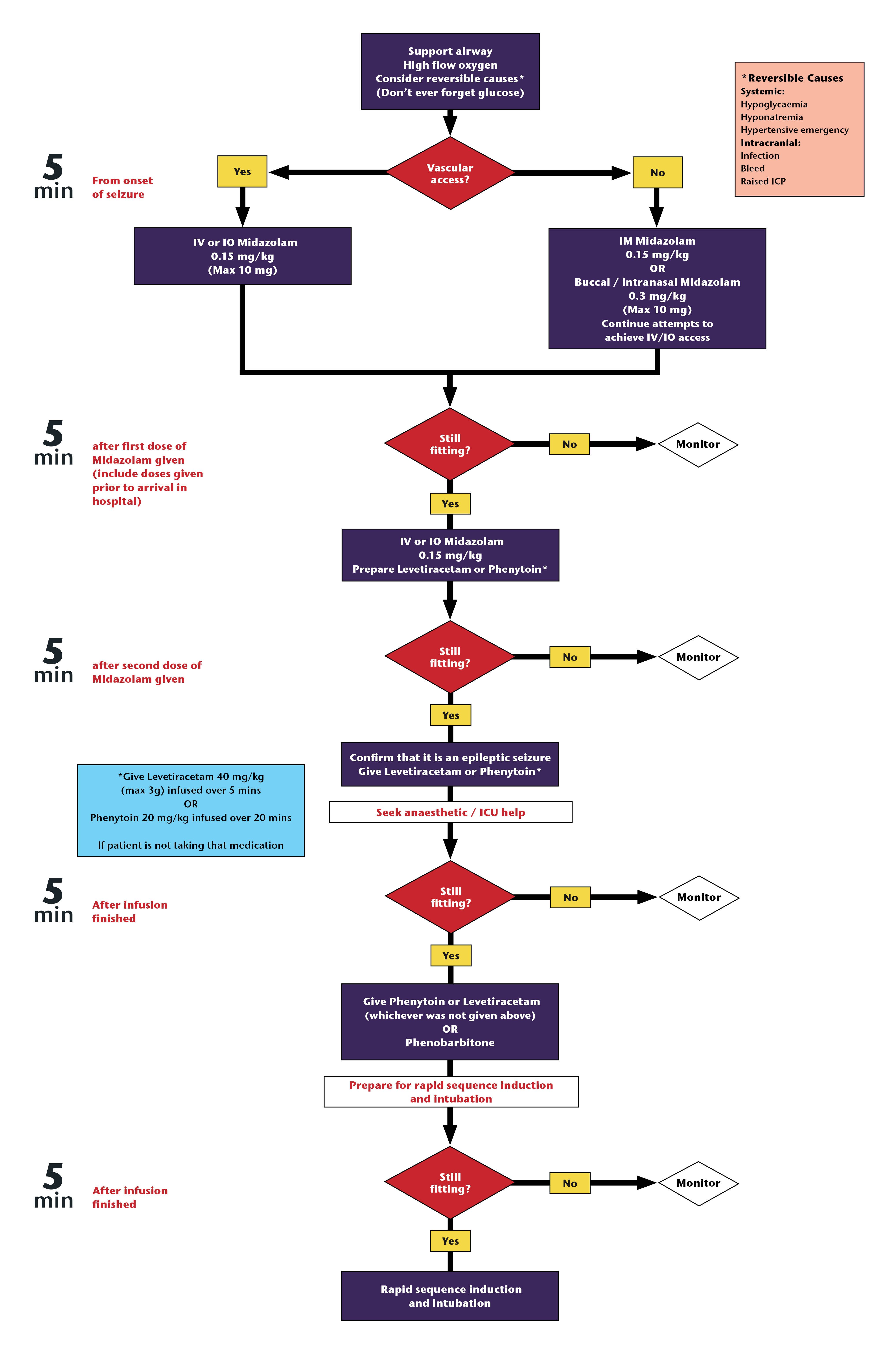 Algorithms Status Epilepticus 4888